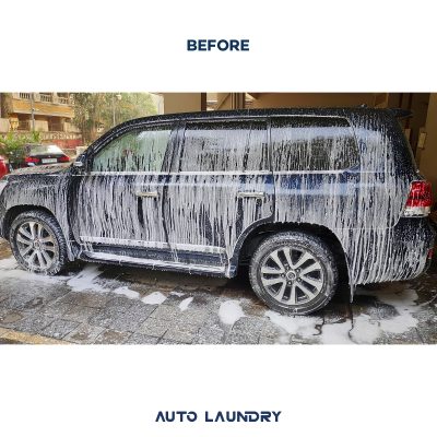 Toyota Land Cruiser side before